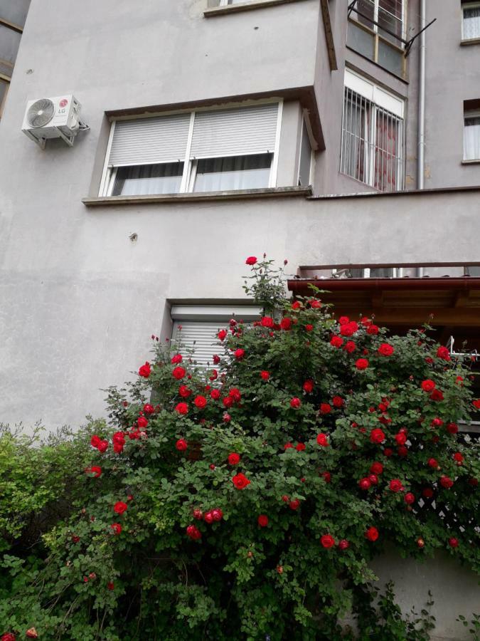 Apartments Lela Bihac Exterior photo